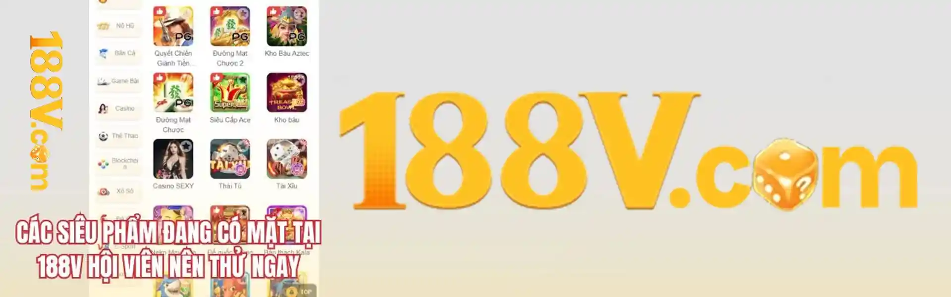 Giới thiệu tiểu sử CEO