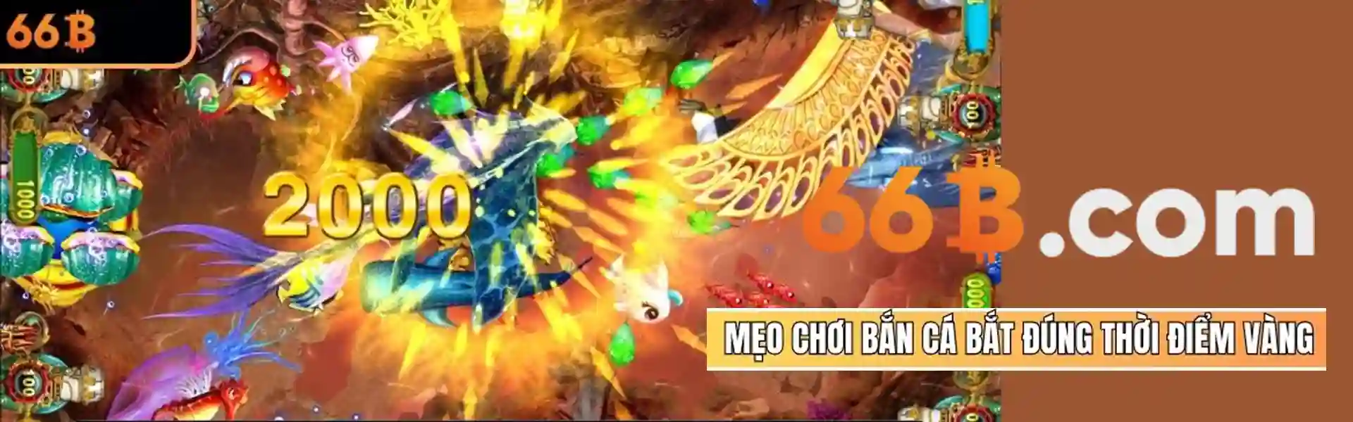 Sảnh Jili Nổ Hũ - Sân Chơi Với Muôn Ngàn Game Slot Mới Mẻ 1 Giới thiệu sảnh Jili nổ hũ