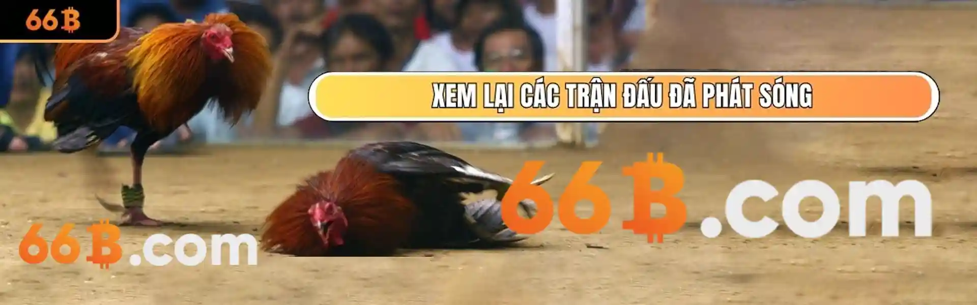 tiểu tiên bắn cá