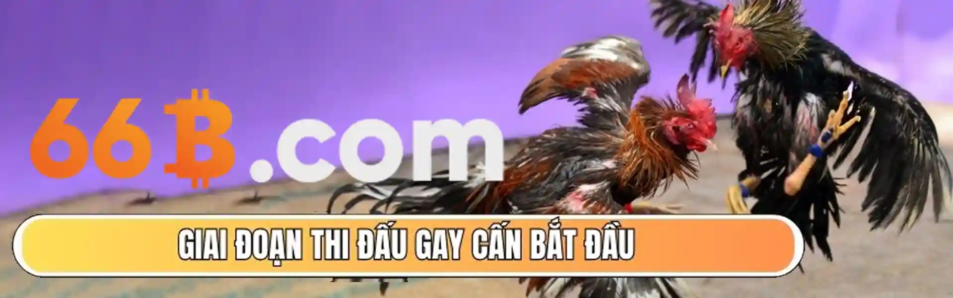 Top 10 cầu thủ sáng giá bậc nhất thế giới hiện tại 2 Warren Zaire-Emery hứa hẹn sẽ là ngôi sao hàng đầu của bóng đá Pháp trong tương lai