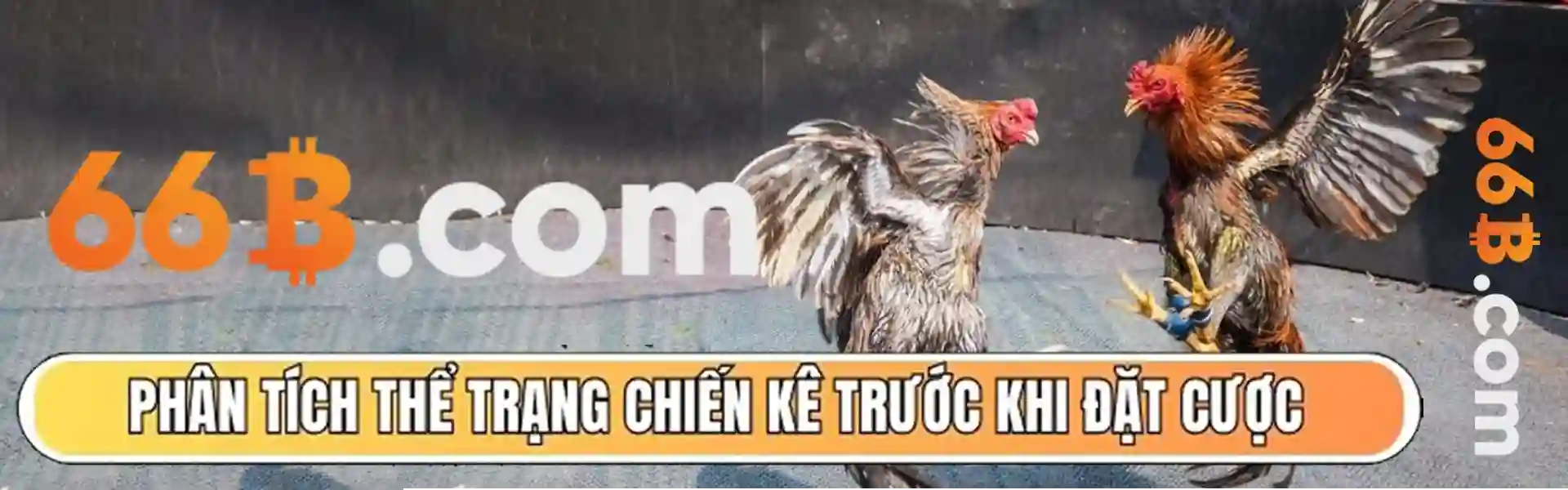 tài xỉu 2 trái