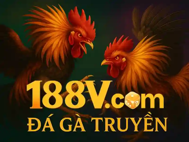 Hướng dẫn 188v: Bí quyết tối ưu, trải nghiệm hấp dẫn