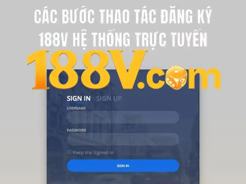 Hướng dẫn sử dụng và quy trình trải nghiệm