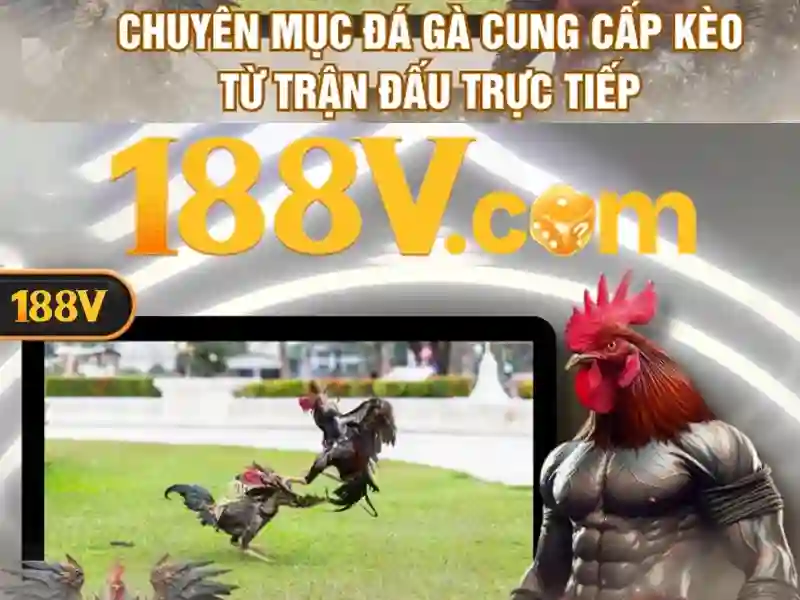 Hướng dẫn 188v: Bí quyết trải nghiệm người dùng tối ưu
