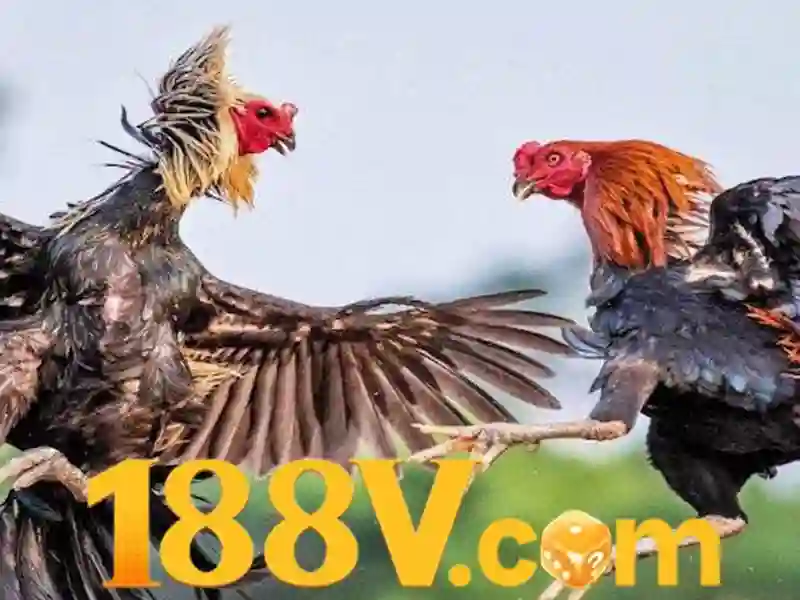 hỗ trợ 188v – Sản phẩm và dịch vụ cốt lõi