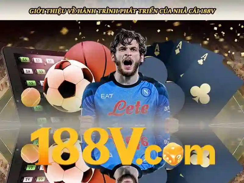 Phân loại và khối chức năng