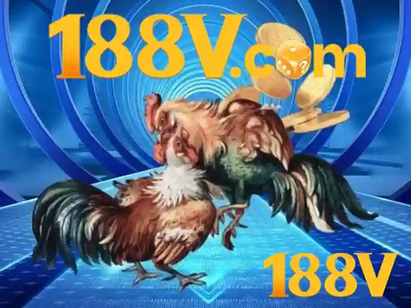 188v an toàn không – Hành trình khám phá sự an toàn và trải nghiệm