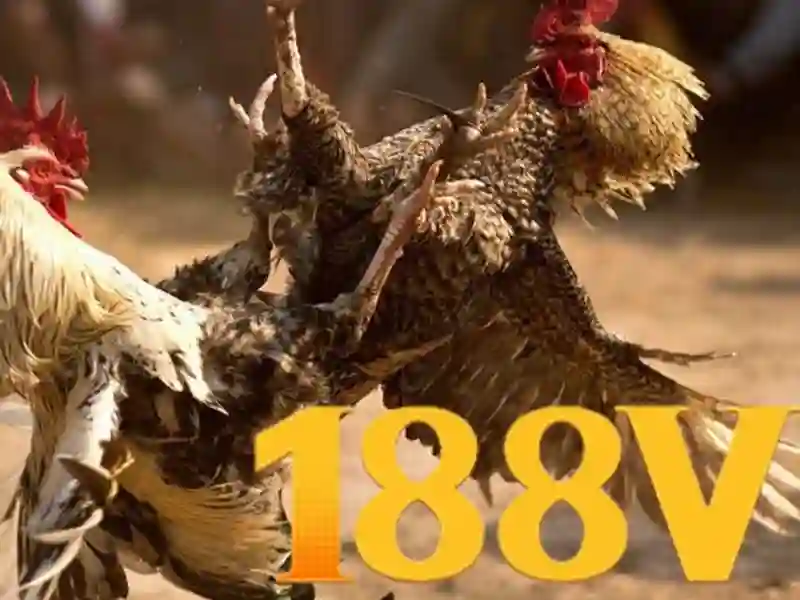 188v tai app - Cot moc moi trong he sinh thai 188v