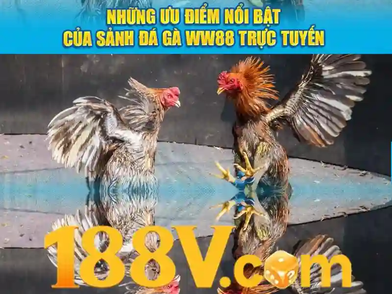 Phân loại và mô-đun trải nghiệm