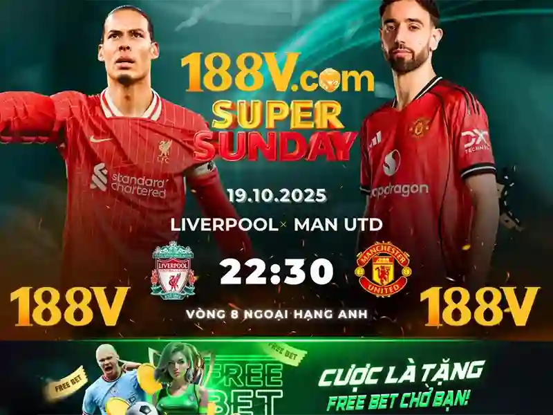 188v dieu khoan su dung – Các chức năng chính và dịch vụ