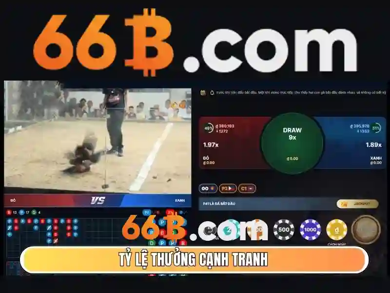 66b có hợp pháp không: Tổng quan pháp lý, an toàn và trải nghiệm thực tế