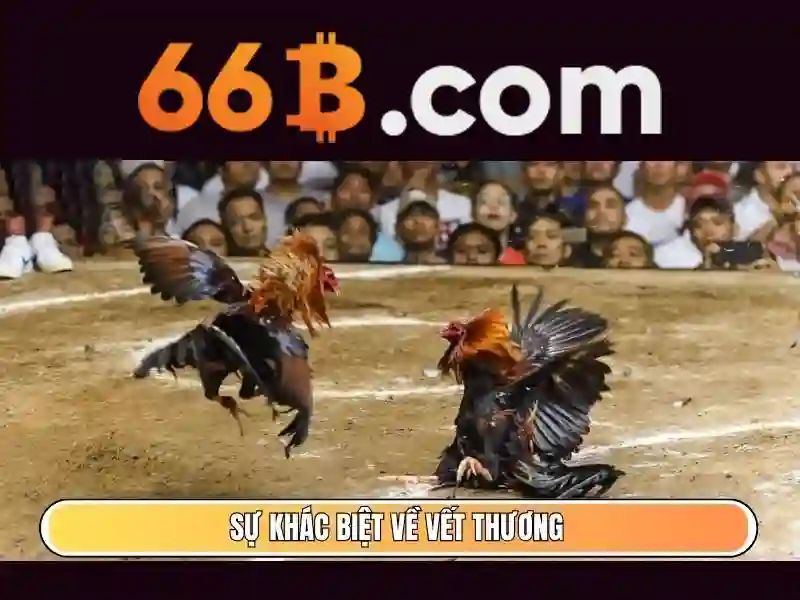 66b uy tín – Khám phá thương hiệu đáng tin và trải nghiệm