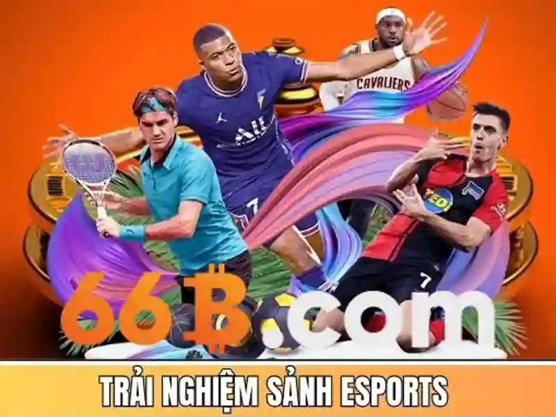 Chuc nang chinh va Dịch vu cua trang gioi thieu