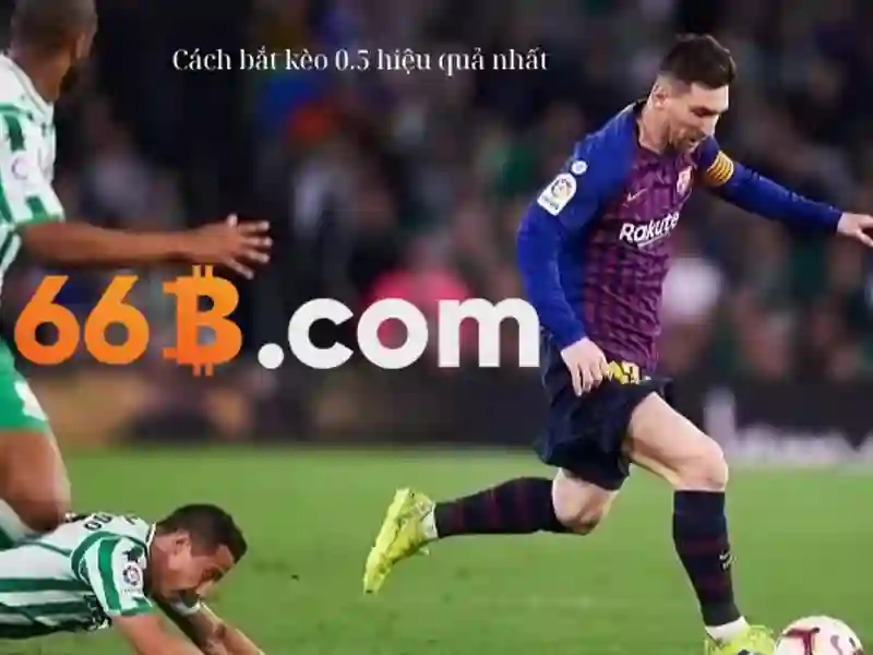 66b dieu khoan su dung – Tổng quan và vai trò đối với người dùng