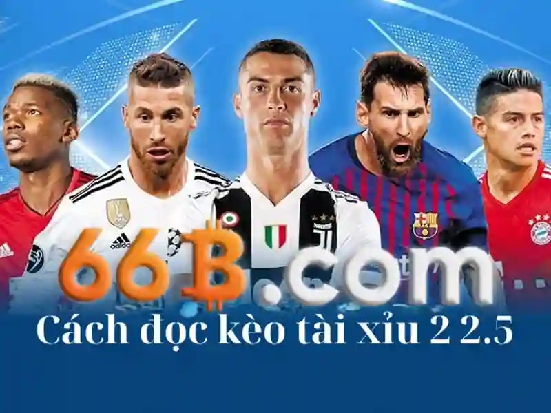 66b dang nhap tổng quan