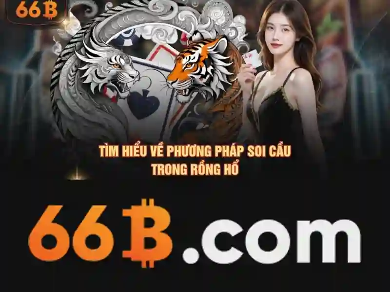 66b dang ky tổng quan
