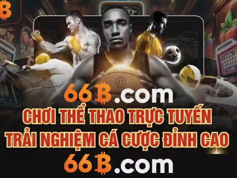 66b – Trải nghiệm người dùng và phản hồi cộng đồng