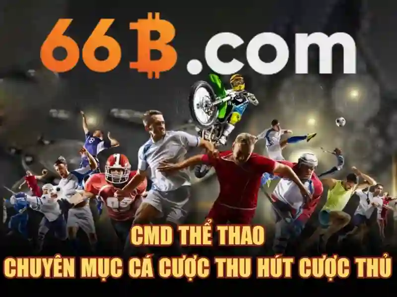 66b xo so – Tổng quan sản phẩm và mục đích người dùng