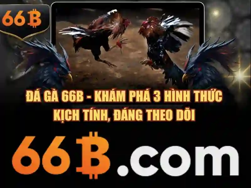 66b dang ky – Vai trò và điểm nhấn trong hệ sinh thái 66b
