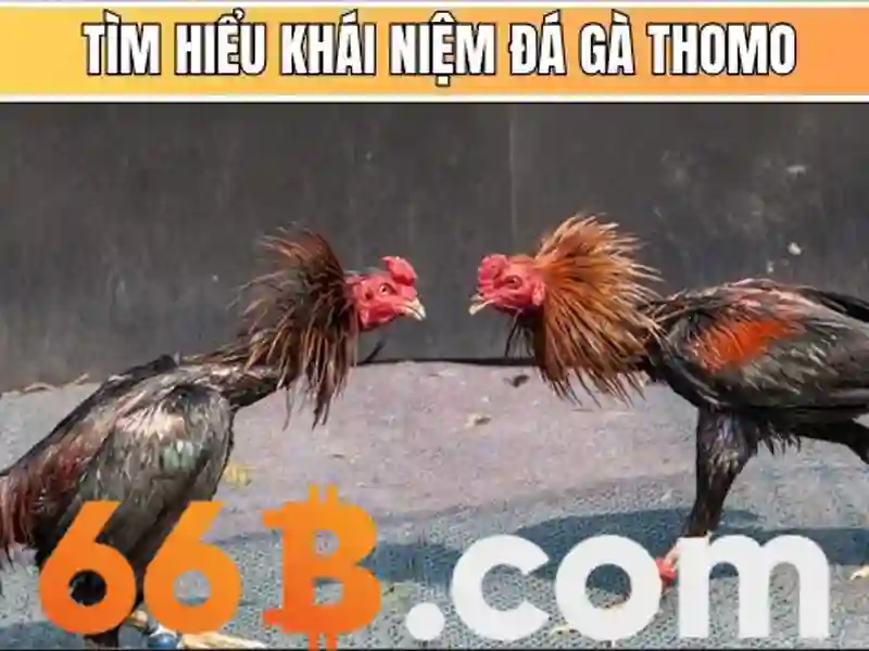 Đặc điểm và dịch vụ cốt lõi