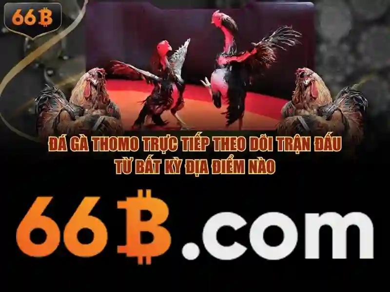 66b dang ky – Vai trò và điểm nhấn trong hệ sinh thái 66b