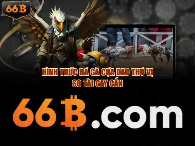 66b app – Giao diện người dùng và trải nghiệm mượt mà