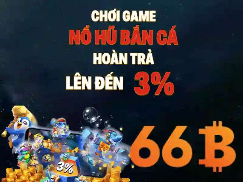 Các bước sử dụng và quy trình trải nghiệm