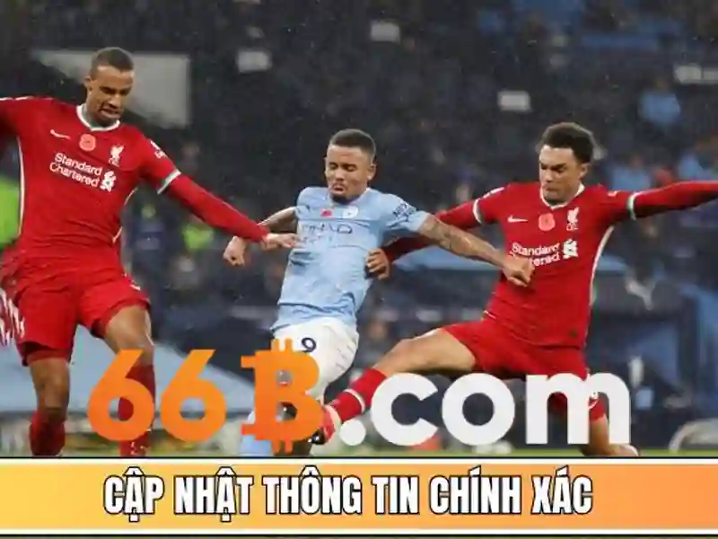 66b điều khoản sử dụng – Khung pháp lý và trải nghiệm người dùng