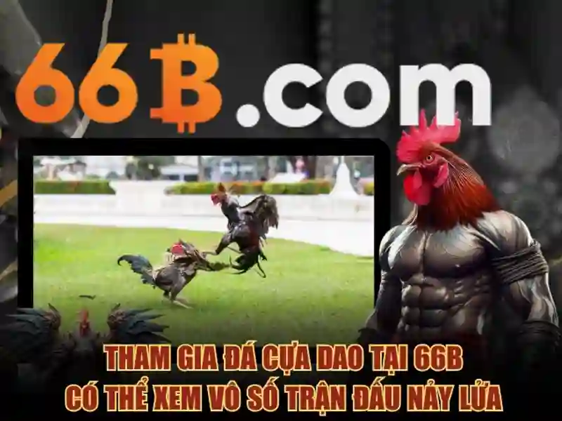 Tóm tắt từ khóa 66b hoạt động bao lâu