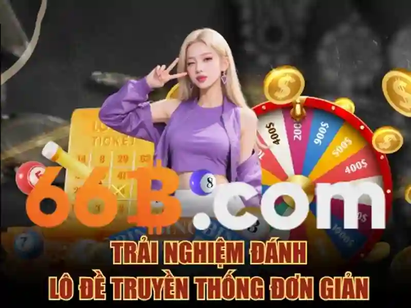 66b dieu khoan va dieu kien – Quy trinh su dung
