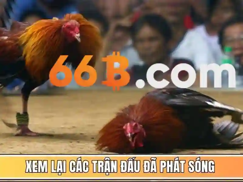 cờ vua 66b – Bước vào thế giới chiến lược