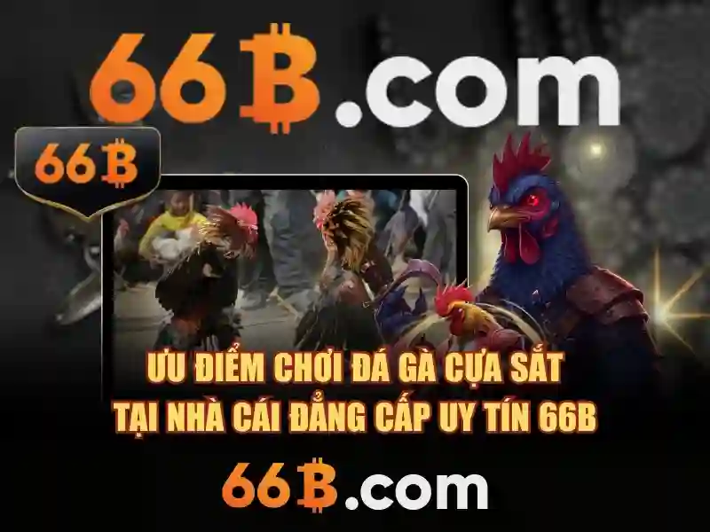 Ưu thế và sức cạnh tranh của 66b