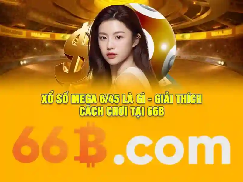 Các bước sử dụng và quy trình trải nghiệm