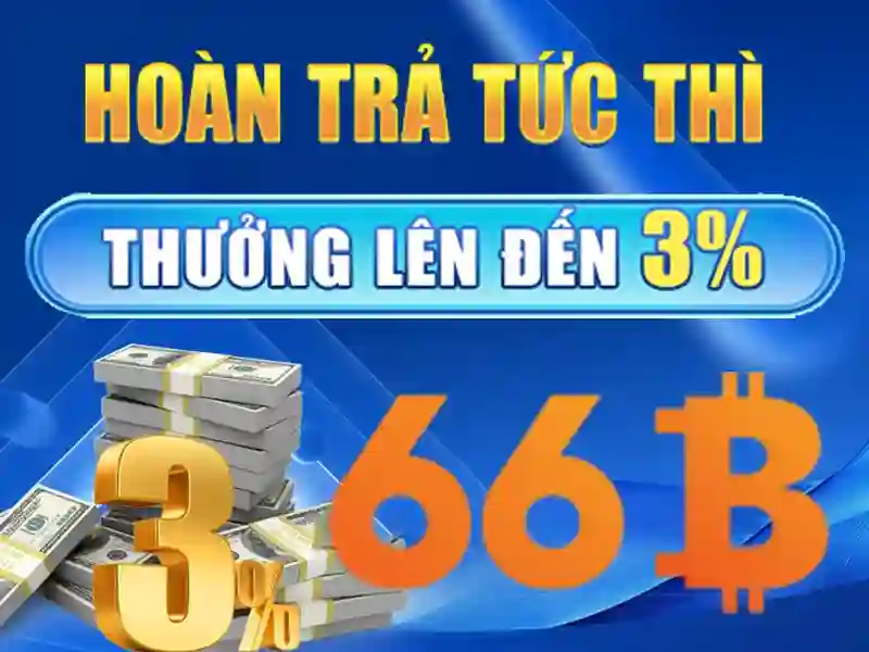 66b chính thức – Trải nghiệm và phản hồi