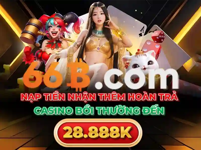 ứng dụng 66b – Kế hoạch tương lai