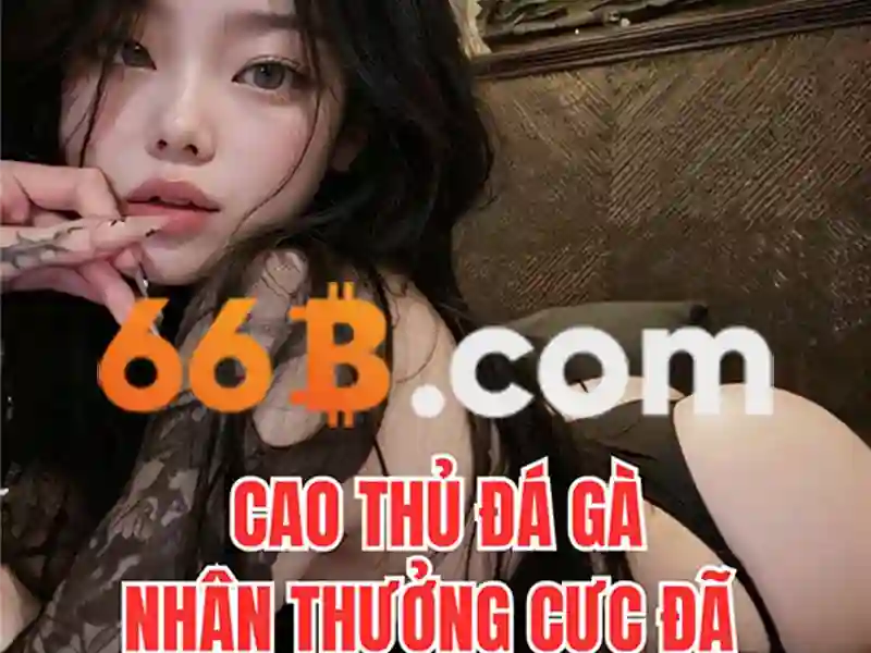 tài khoản 66b – Trải nghiệm toàn diện và đánh giá chi tiết