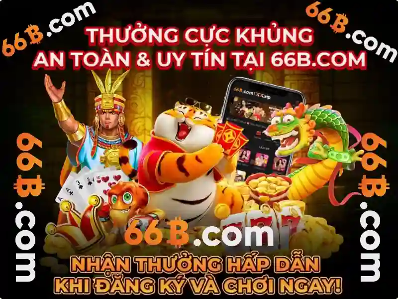 Quy trình sử dụng và trải nghiệm