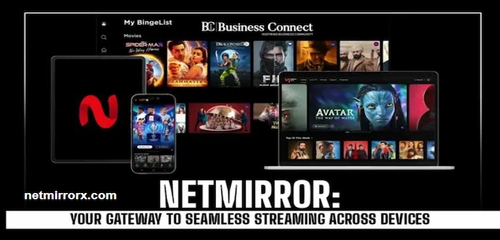 netmirror overview image