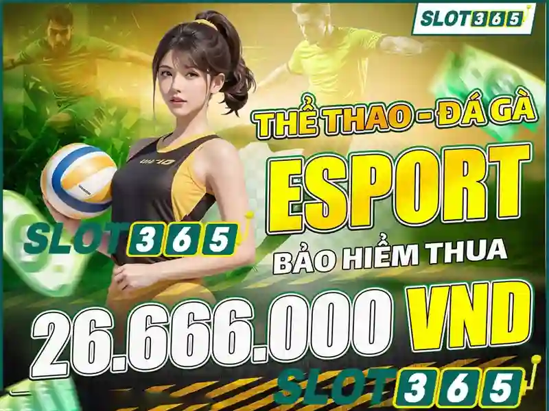 Đánh giá tiện ích đặc biệt mà nhà cái đem lại