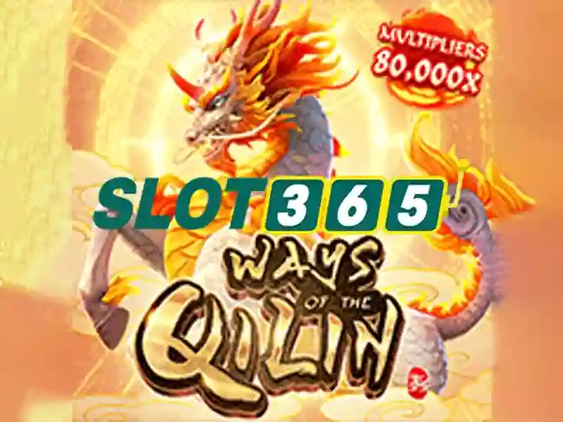 Các chức năng và dịch vụ nổi bật của slot365 khuyen mai
