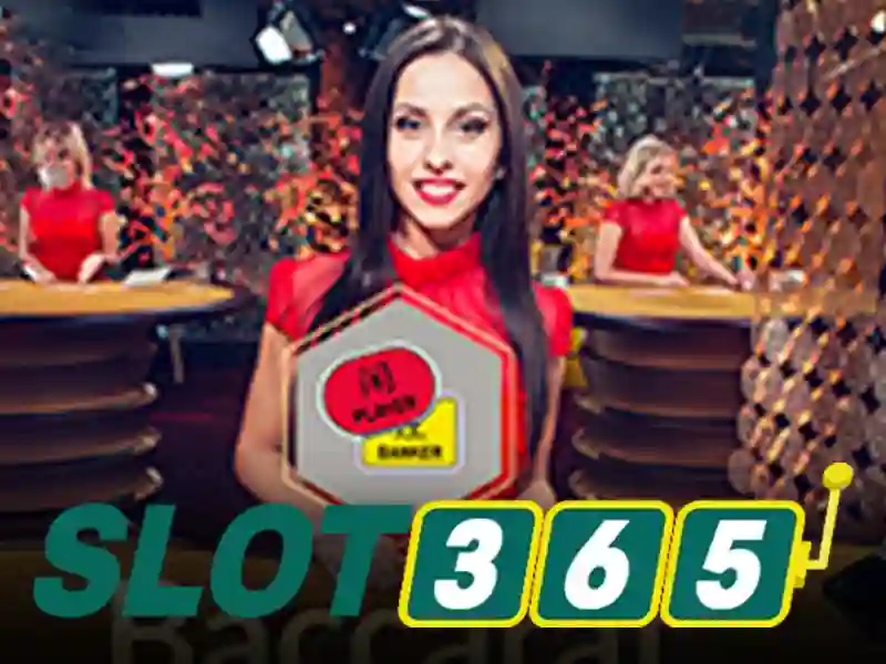 slot365 dieu khoan va dieu kien – Vai trò và cam kết trong hệ sinh thái slot365