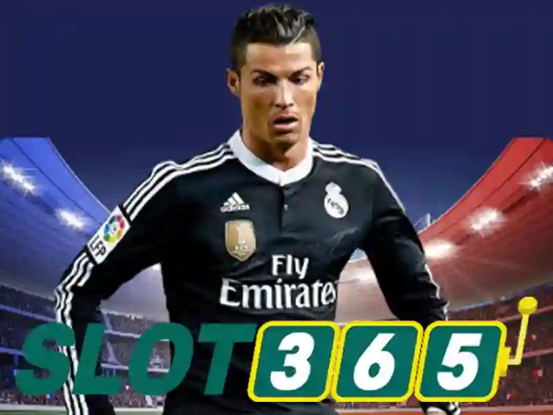 Phan loai va module cua mien tru trach nhiem