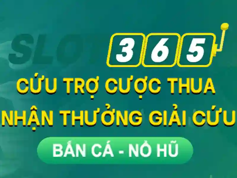 Cam ket bao ve thong tin nguoi dung