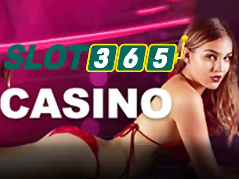 Phản hồi người dùng Slot365