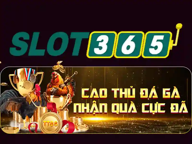 slot365 dang nhap tổng quan