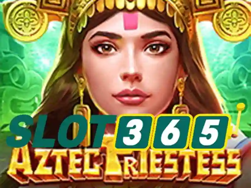 Kết luận và lời kêu gọi hành động của slot365