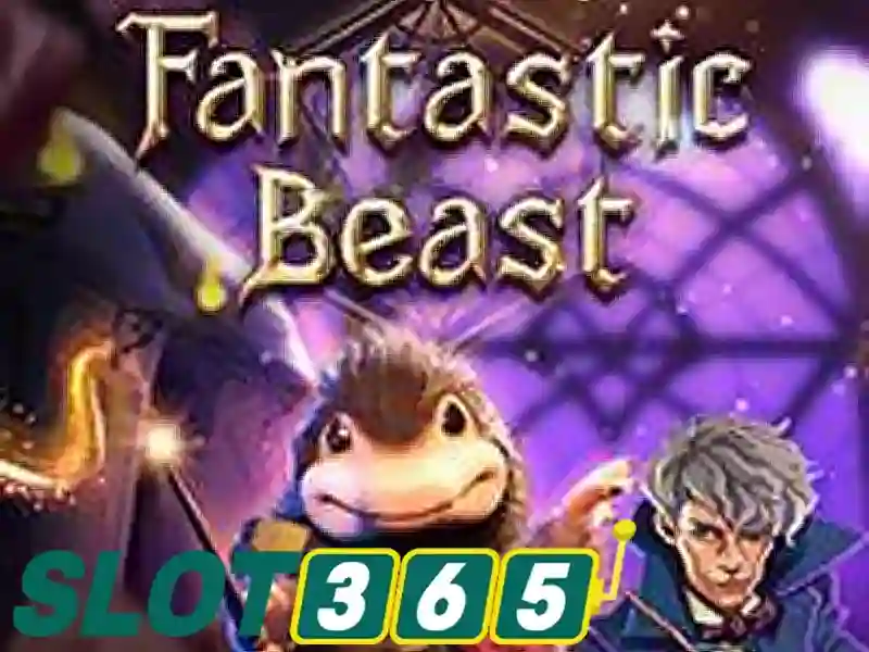 asia slot365 login – Giới thiệu và hành trình