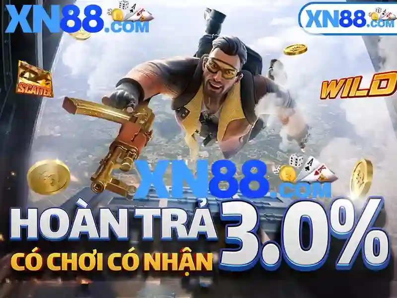 xn88 quyen rieng tu Tổng quan
