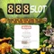 888slot apk - Ứng dụng casino di động đỉnh cao cho trải nghiệm tối ưu