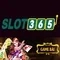 live slot365: Trải nghiệm đỉnh cao và nhận định chuyên sâu